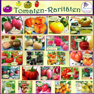   Lieblings Tomaten ! Alte Freiland Sorten,Gemüse Salat Samen Saatraritäten Tulpenstolz Bild 3