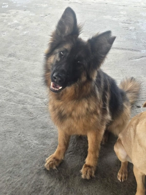 Warum werde ich nicht gesehen?