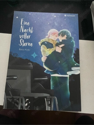 Manga BL Eine Nacht voller Sterne band 1 