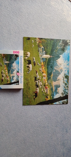 Verschiedene Gesellschaft Spiel, Kosmos Elektro, Puzzle, Maulwurfkompanie, von 2 Euro  bis 15 Euro