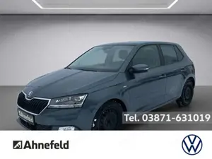 Skoda Fabia Clever Best of