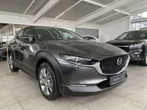 Mazda CX-30 2.5 Exclusive AUTOMATIK Matrix, 360°, Bose, 18", N