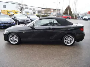 BMW 220 220i Cabrio Luxury Line * Navi * Leder * Xenon Bild 5