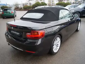 BMW 220 220i Cabrio Luxury Line * Navi * Leder * Xenon Bild 3