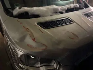 Ford Transit Kombi 330 L2 H3 9 Sitze Bild 3