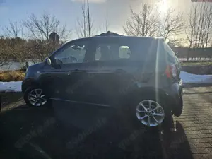 smart forFour Raumwunder mit Cabrio-Feeling Bild 4