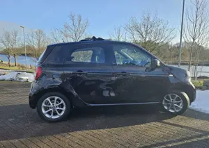 smart forFour Raumwunder mit Cabrio-Feeling Bild 2