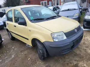Fiat Panda Panda 1.2 Dynamic