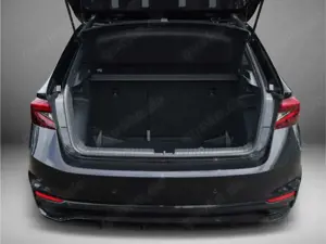 Skoda Fabia Monte Carlo 1.0 TSI DSG Kamera LED Bild 5