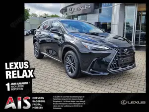 Lexus NX 350h Executive Line FLA HUD ParkAss. SpurH