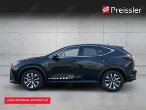 Lexus NX 350h E-Four *Executive* HUD Panorama 360 Kamera Bild 4