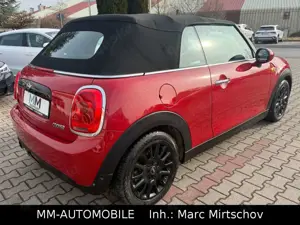 MINI Cooper Cabrio-LEDER-KAMERA-SHZ-LED-SPORTSITZE Bild 4