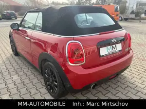 MINI Cooper Cabrio-LEDER-KAMERA-SHZ-LED-SPORTSITZE Bild 3