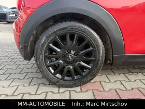 MINI Cooper Cabrio-LEDER-KAMERA-SHZ-LED-SPORTSITZE Bild 5