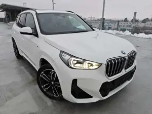 BMW X1 20i sDri M-Sport AHK/Memory/ACC/Pano/HK/NP59