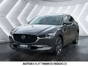 Mazda CX-30 2.0 e-SKYACTIV-X Exclusive  AT Navi ACC LED Bild 3