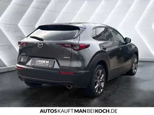 Mazda CX-30 2.0 e-SKYACTIV-X Exclusive  AT Navi ACC LED Bild 5