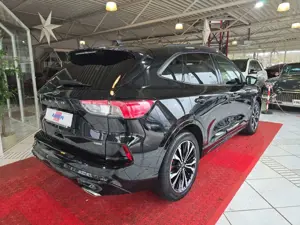 Ford Kuga Plug-In Hybrid ST-Line X+BO+HUD+AHK+LED+ Bild 5