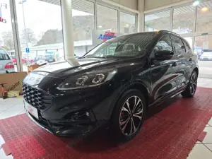Ford Kuga Plug-In Hybrid ST-Line X+BO+HUD+AHK+LED+ Bild 3