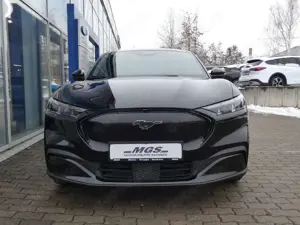 Ford Others Premium #RWD Bild 3