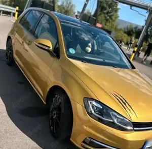 Volkswagen Golf Alltrack 2.0 TDI 4Motion BlueMotion Technol.