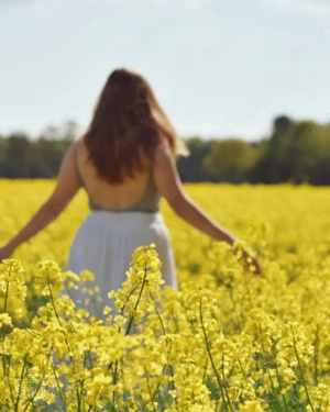 Fotoshooting auf TfP Basis für w, ab 18 Jahre Bild 4