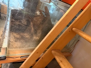 XXL Terrarium  150x80x50