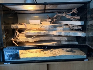 ExoTerra Terrarium 90x60x50