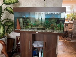 Aquarium mit Fischen und Zubehör