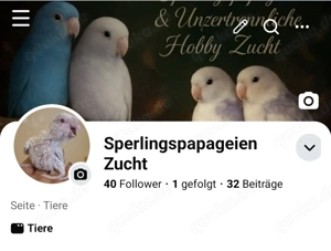 schaut gerne mal vorbei