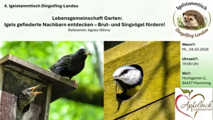 Lebensgemeinschaft Garten:  Igels gefiederte Nachbarn entdecken   Brut- und Singvögel fördern