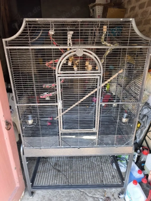 Großer Vogel Käfig 