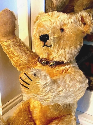 Alter Steiff Teddy Bär mit frühem Knopf H 46 cm 20er Jahre Bild 4