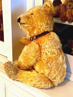 Alter Steiff Teddy Bär mit frühem Knopf H 46 cm 20er Jahre