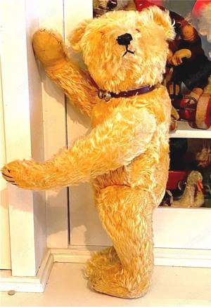 Alter Steiff Teddy Bär mit frühem Knopf H 46 cm 20er Jahre Bild 10