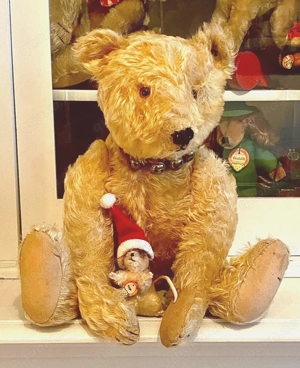 Alter Steiff Teddy Bär mit frühem Knopf H 46 cm 20er Jahre Bild 6