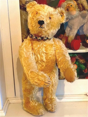 Alter Steiff Teddy Bär mit frühem Knopf H 46 cm 20er Jahre Bild 3