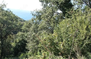 Erschlossenes Baugrund. 330m2 Meer 1400m. Meerblick