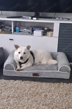 Albutu - kleiner Schatz!