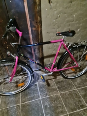 Damenrad zum günstigen Preis