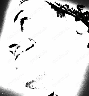 Gentleman für eine Lady