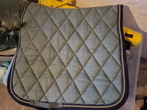 BR Dressur Full kaki grün, innen blau wie der Rand