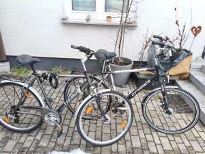 Herrenrad für Große