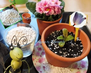   BIO PERLITE Bodenverbesserer für Aussaaten gesunde Pflanzen,Tomaten,Bohne,Gurken,Zucchini,Garten