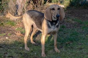 Maria sucht eine Familie