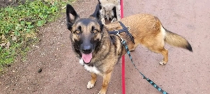 Lotte liebt das Leben 