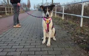 Wer schenkt der hübschen Kiwi sein Herz? Bild 3