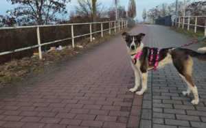 Wer schenkt der hübschen Kiwi sein Herz? Bild 4