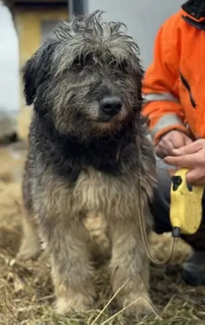 Einzelprinz Oliver will geliebt werden