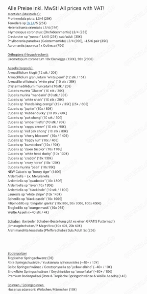 Weiße Asseln assel Bodenpolizei isopod isopoda 